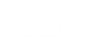 Spectrum International