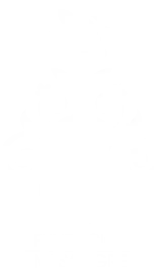 Fundación Mi Sangre